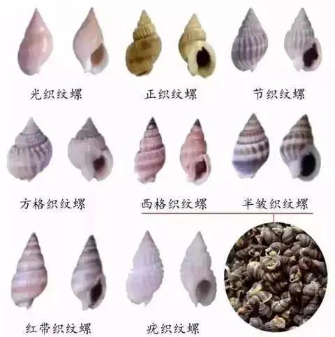 微信圖片_20200826115440.jpg