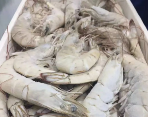 微信圖片_20190527131136.png